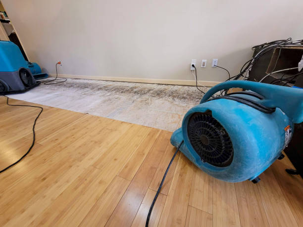 Professional Sewage Cleanup technician working in Brookpark, OH